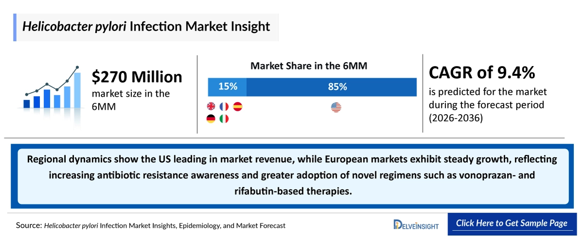Helicobacter-pylori-Infection Market Insights