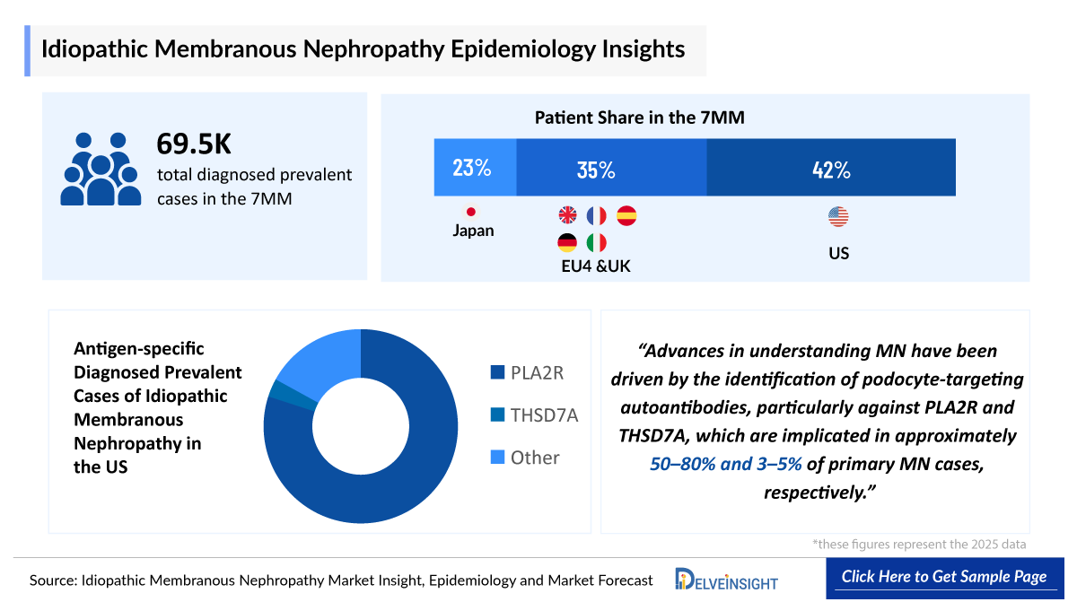 Idiopathic Membranous Nephropathy (IMN) Epidemiology