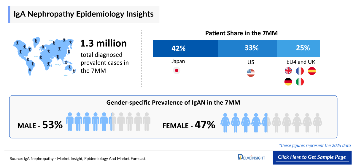 IgAN Epidemiology