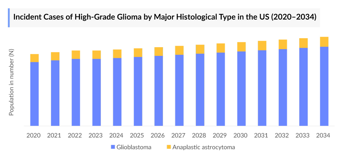 Incident Cases of High-Grade Glioma by Major Histological Type in the US (2020–2034)