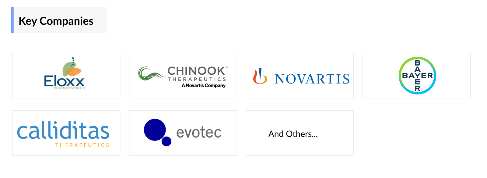 Alport Syndrome Market