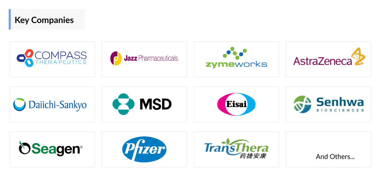 Biliary Tract Cancer (BTC)