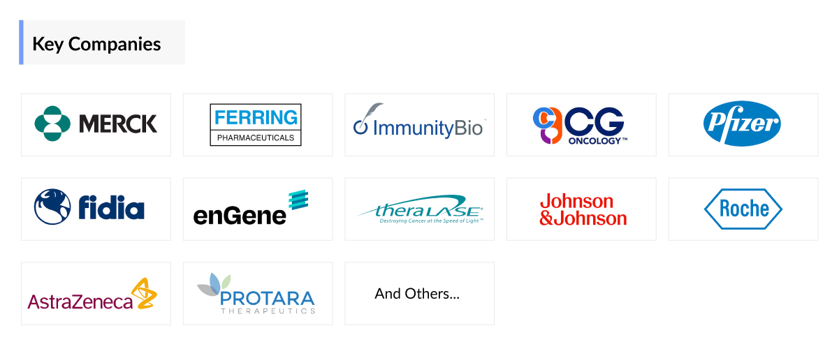 Non Muscle Invasive Bladder Cancer Companies