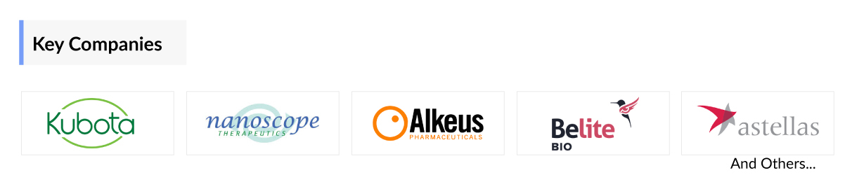  Stargardt Disease Companies