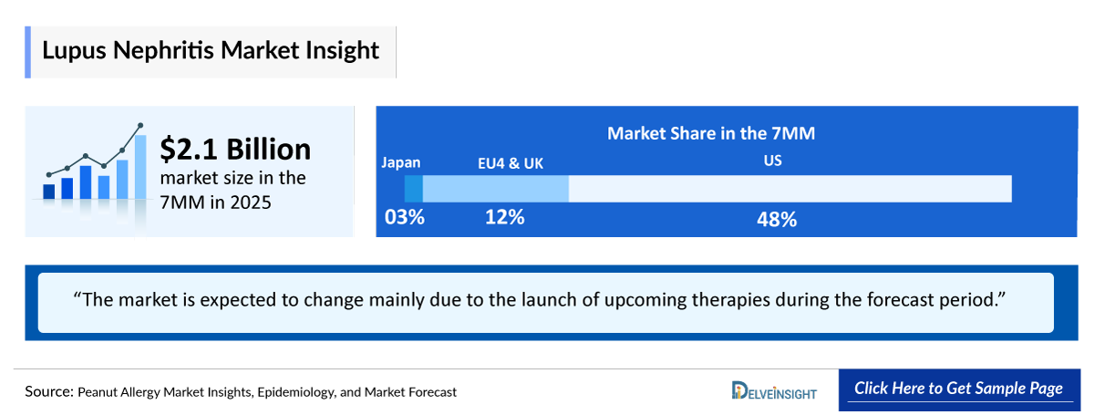 Lupus Nephritis Market Outlook