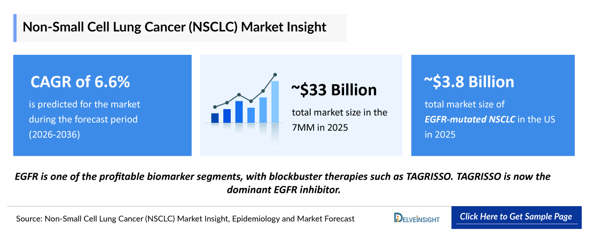 Non-Small Cell Lung Cancer (NSCLC) Market Outlook
