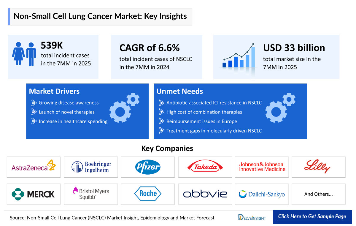 Non-Small Cell Lung Cancer (NSCLC) Market