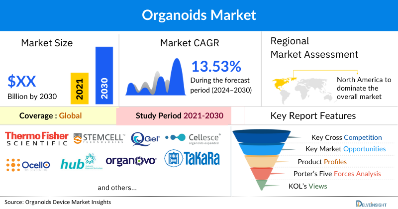 Organoids Market