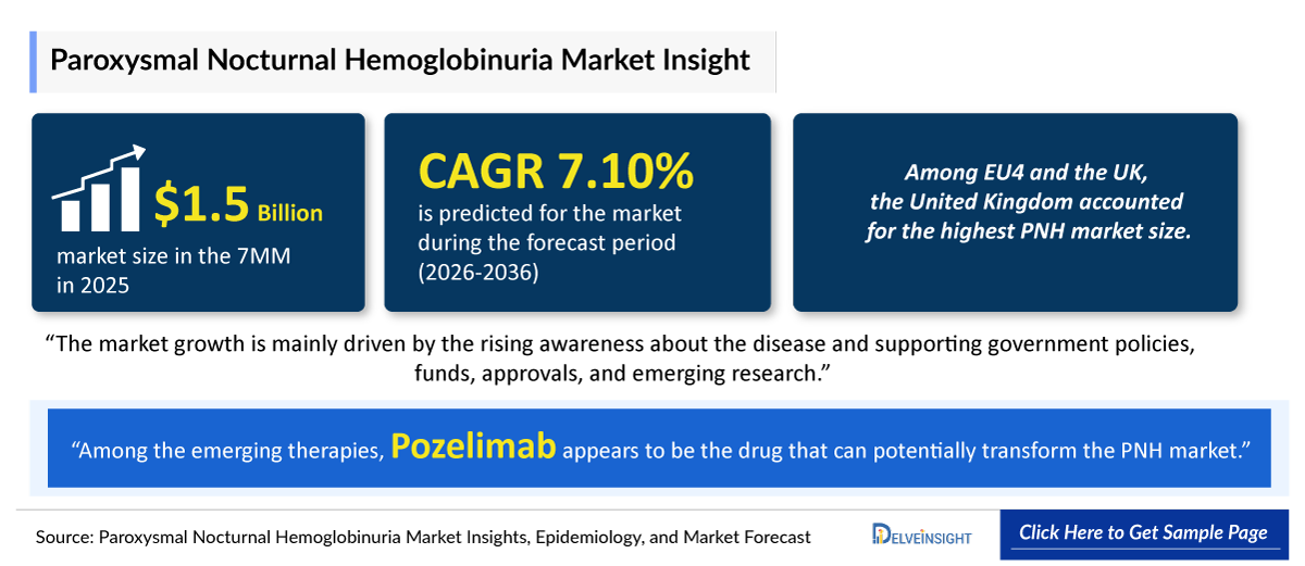 Paroxysmal Nocturnal Hemoglobinuria Market Outlook