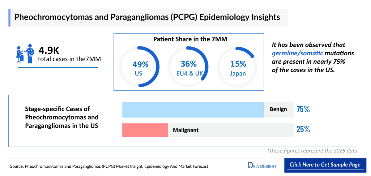 Pheochromocytoma and Paraganglioma (PCPG) Epidemiology