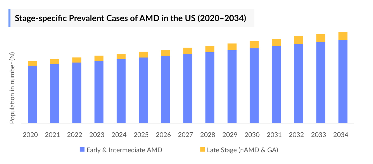 Stage-specific Prevalent Cases of AMD in the US (2020–2034)