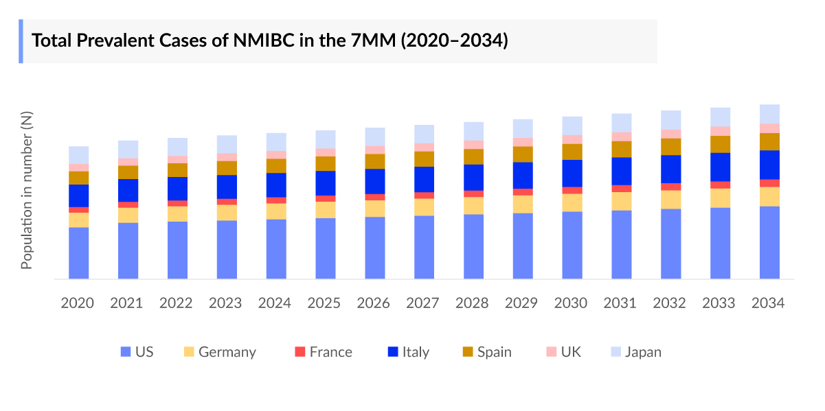Non Muscle Invasive Bladder Cancer Prevalent Cases