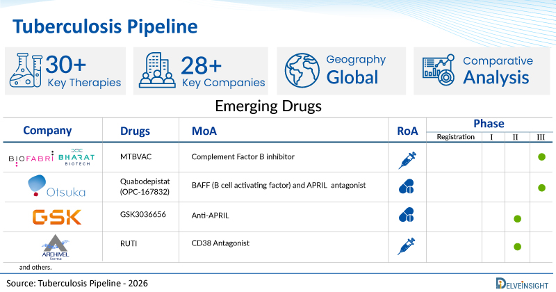 Tuberculosis Pipeline Assessment