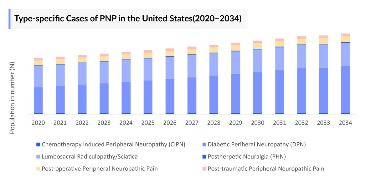 Type-specific Cases of PNP in the United States(2020–2034)