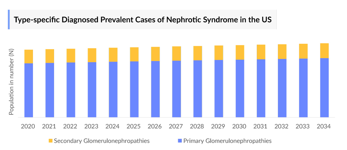Nephrotic Syndrome Epidemiology