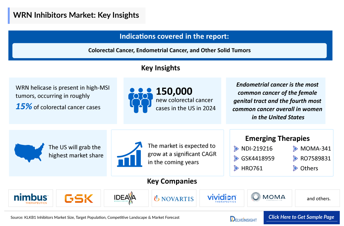 WRN Inhibitors Market