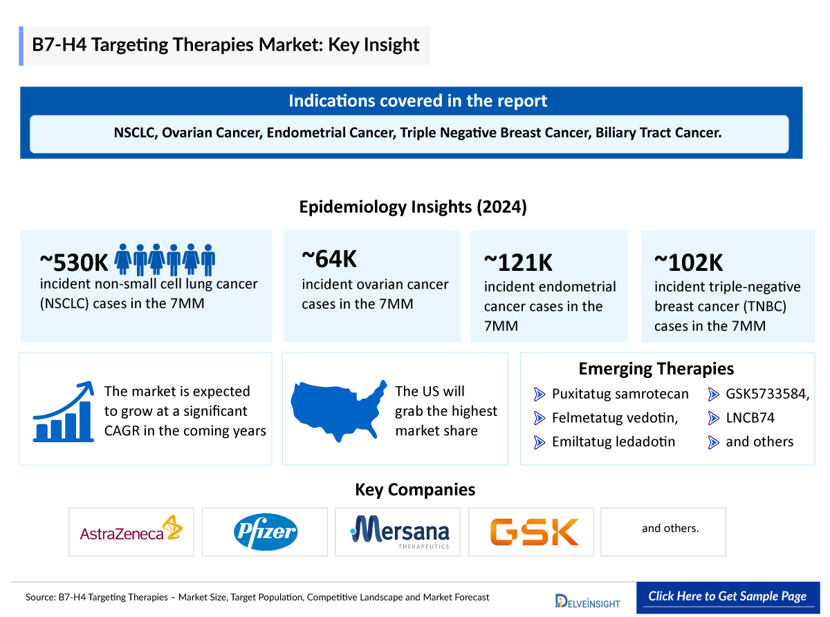 B7-H4 Targeting Therapies Market