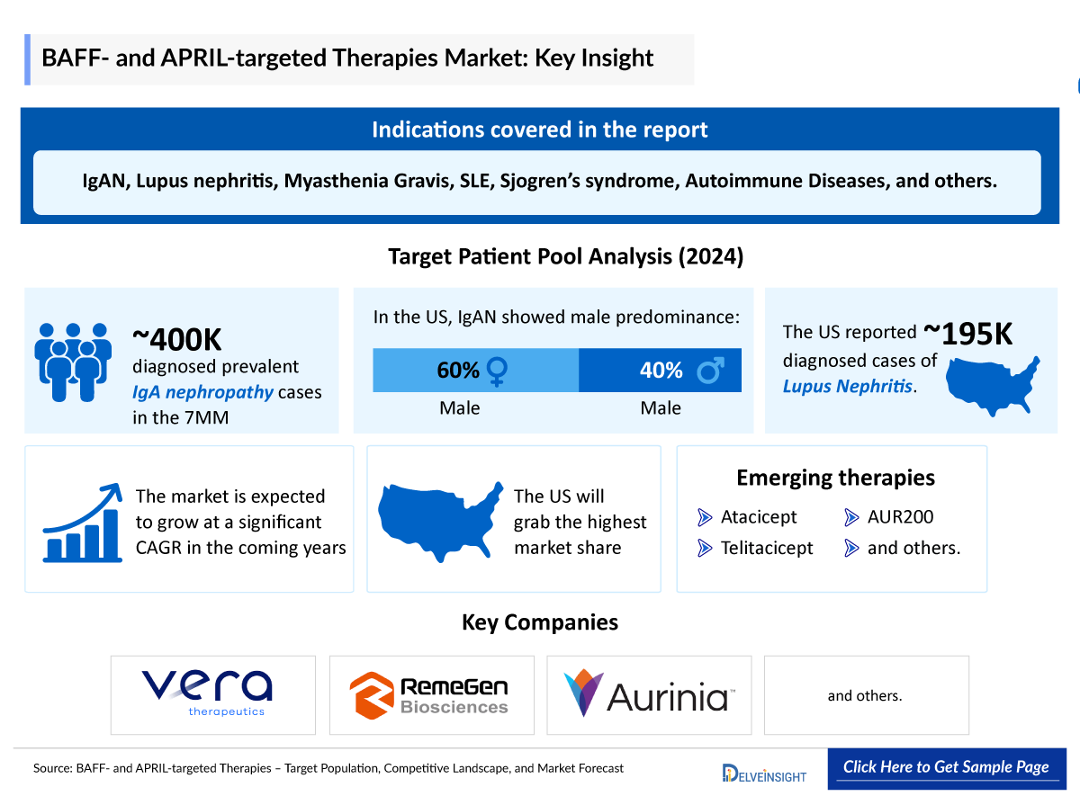 BAFF- and APRIL-targeted Therapies