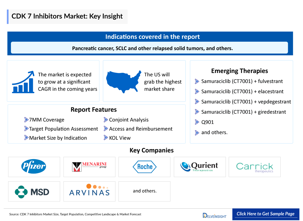 CDK 7 Inhibitors Market Insights