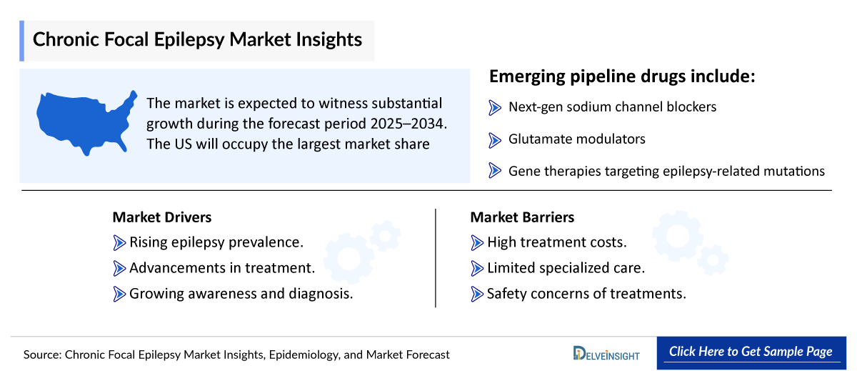 Chronic Focal Epilepsy Market Outlook