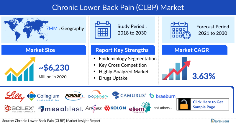 Chronic Lower Back Pain (CLBP) Market