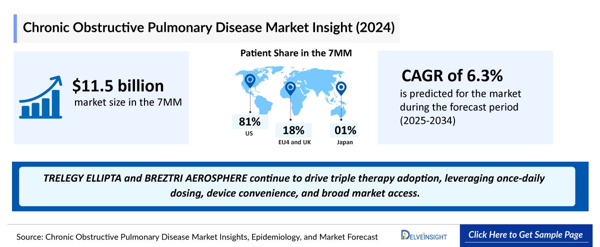 Chronic Obstructive Pulmonary Disease (COPD) Market Outlook