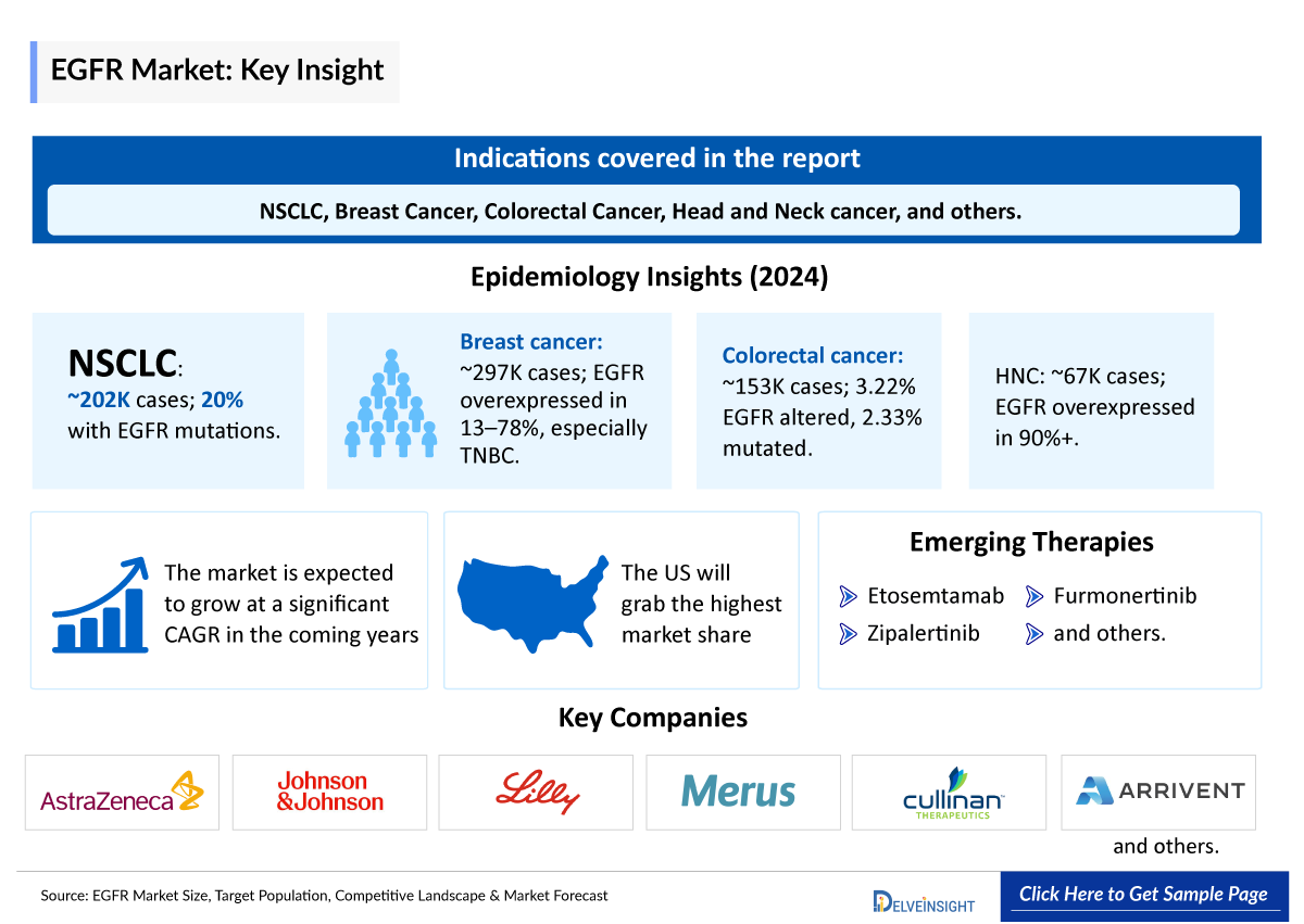 EGFR Market Insight