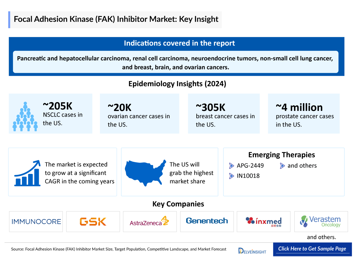 FAK Inhibitors Market