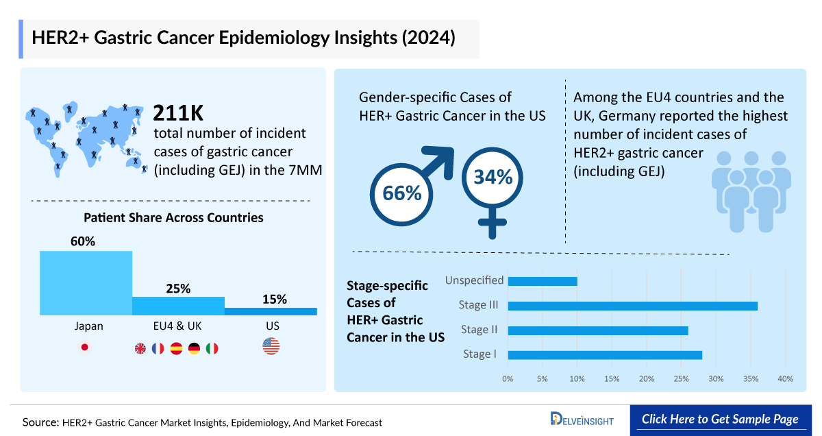HER2+ Gastric Cancer Epidemiology Insights