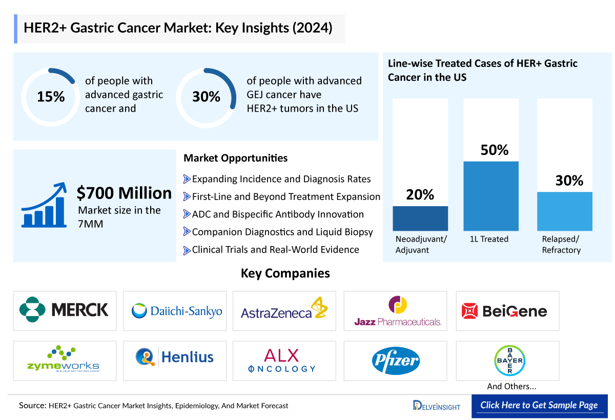 HER2+ Gastric Cancer Market Insights