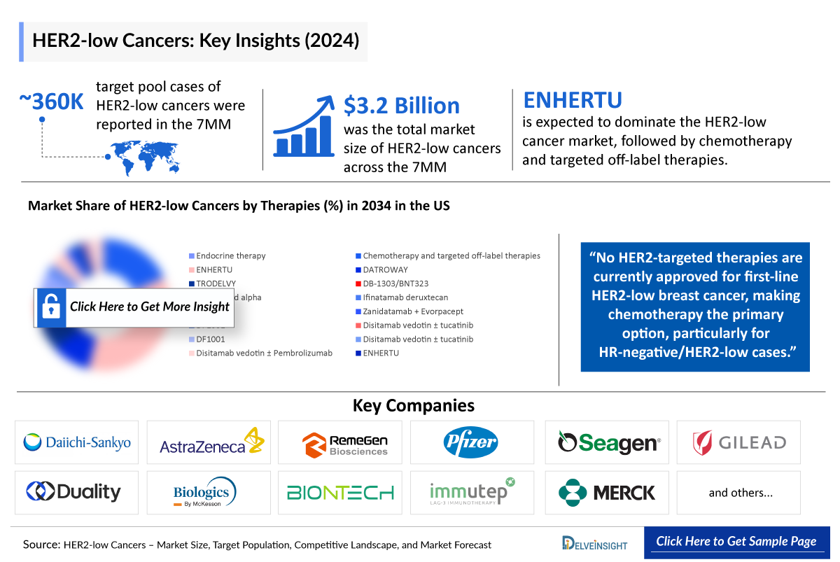 HER2 Low Cancers Market