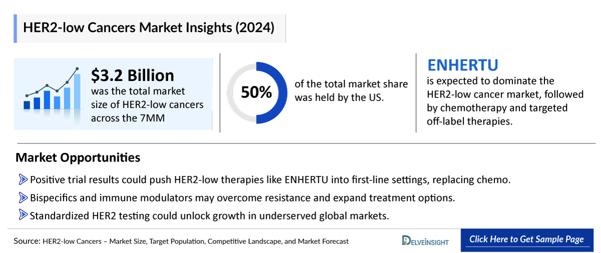 HER2-low Cancers Market Insights