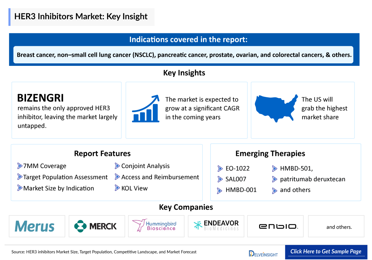 HER3 inhibitors Market