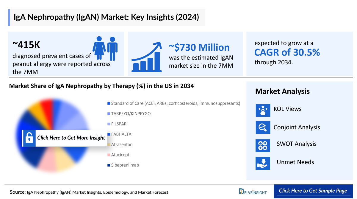 IgA Nephropathy Market Insight