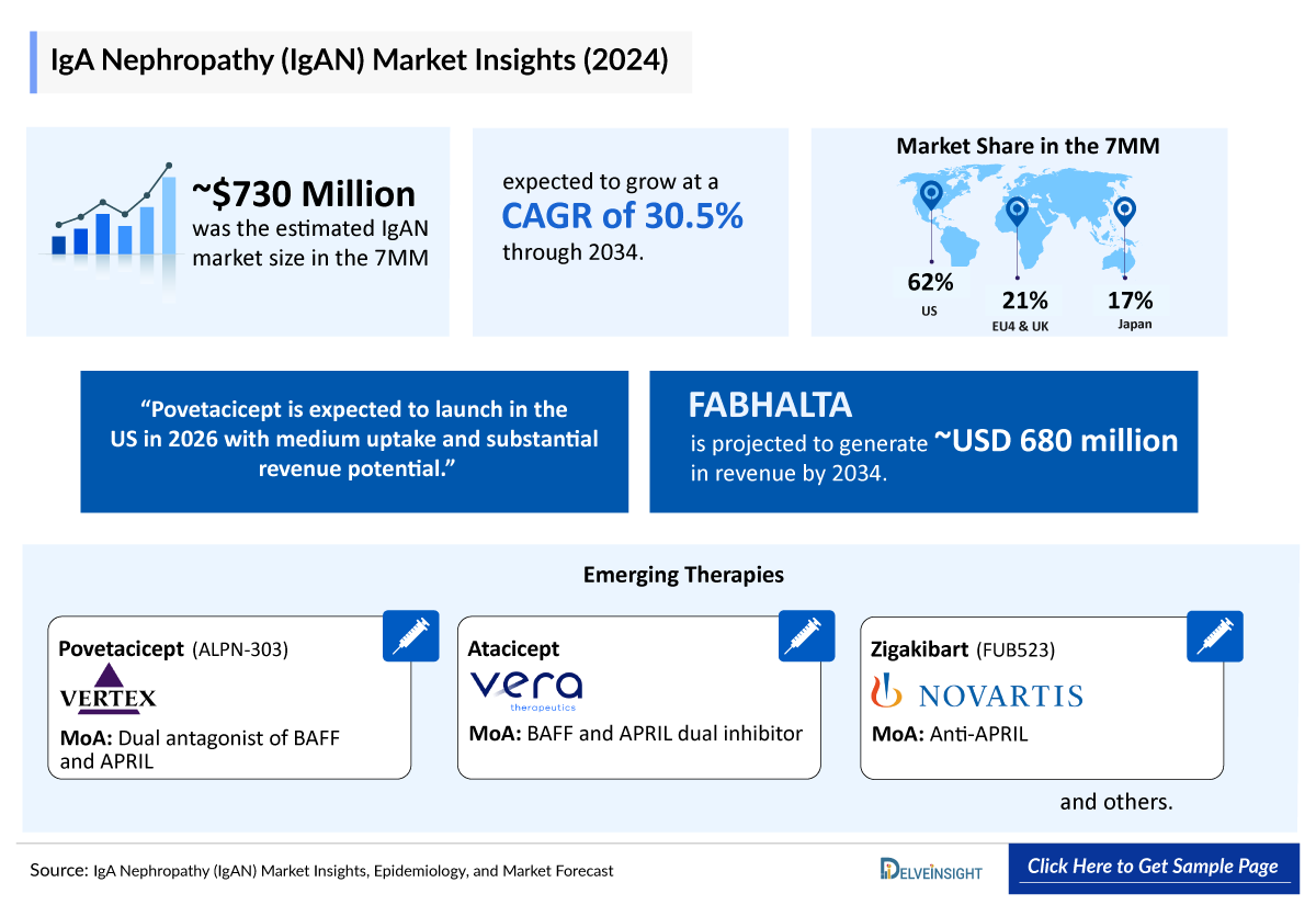 IgA Nephropathy Outlook