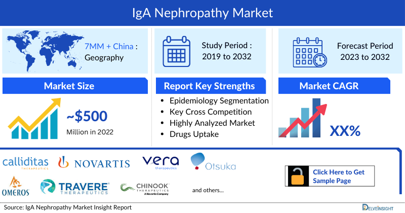 IgA Nephropathy Market