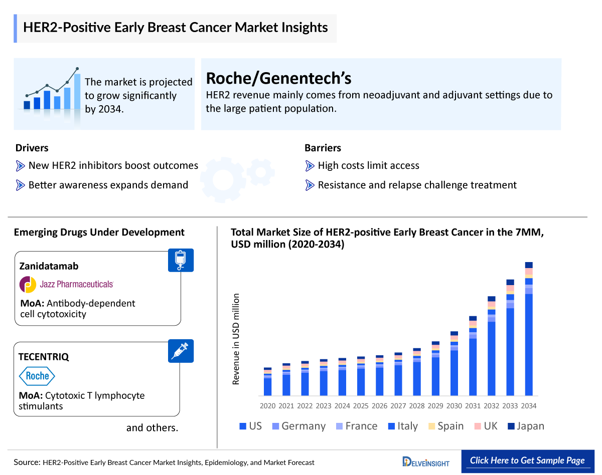 HER2-Positive Early Breast Cancer Outlook