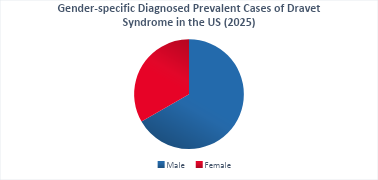 Dravet Syndrome Epidemiology