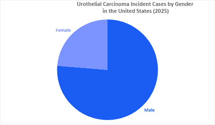Urothelial Carcinoma Epidemiology
