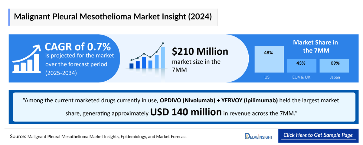 Malignant Pleural Mesothelioma Market Outlook