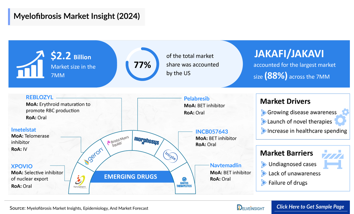 Myelofibrosis Market Insight (2024)