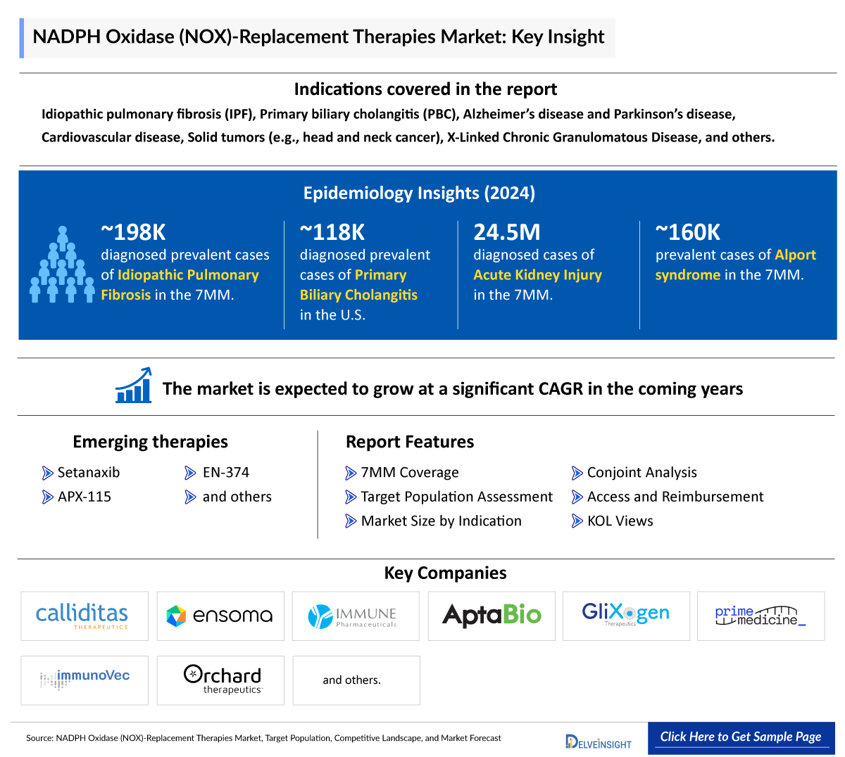 NADPH Oxidase (NOX)-Replacement Therapies Market Insights