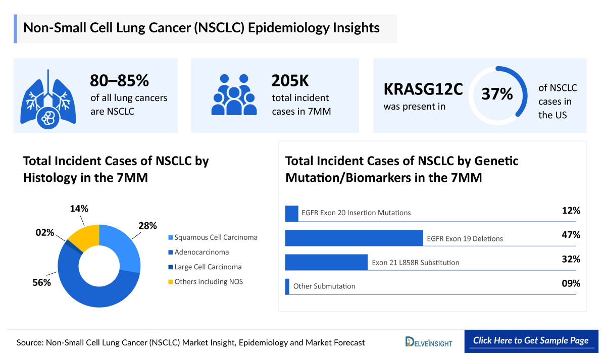 Non-Small Cell Lung Cancer (NSCLC) Epidemiology Insights