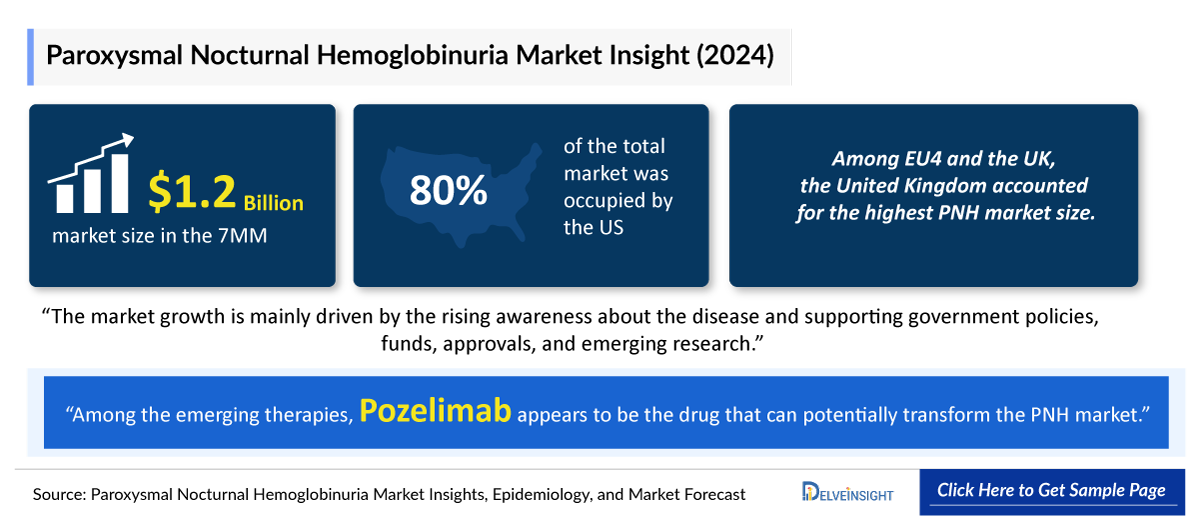 Paroxysmal Nocturnal Hemoglobinuria Market Outlook