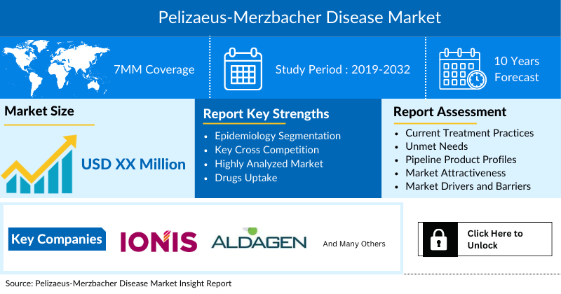Pelizaeus-Merzbacher Disease Market