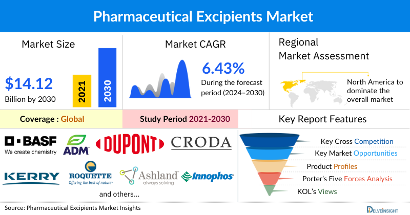 Pharmaceutical Excipients Market