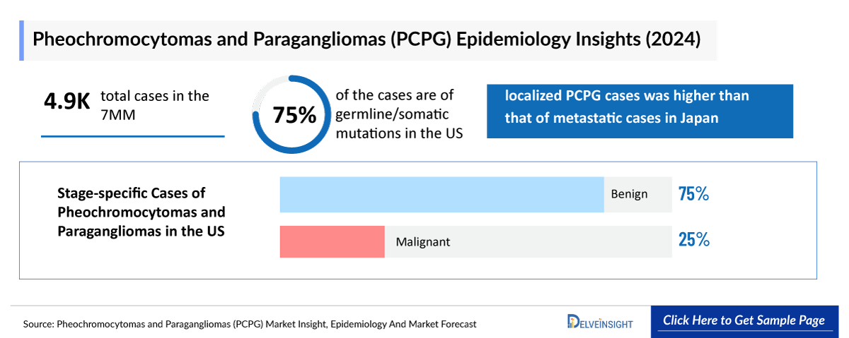 Pheochromocytomas and Paragangliomas Epidemiology Insights
