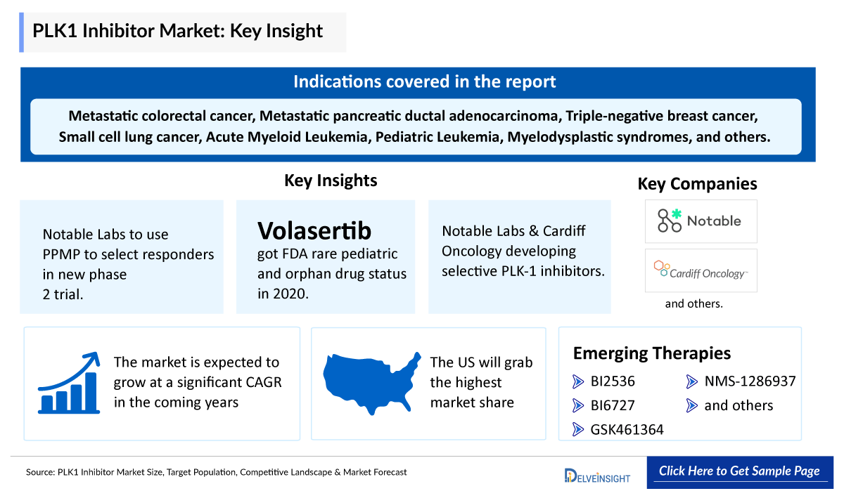 PLK1 Inhibitor Market