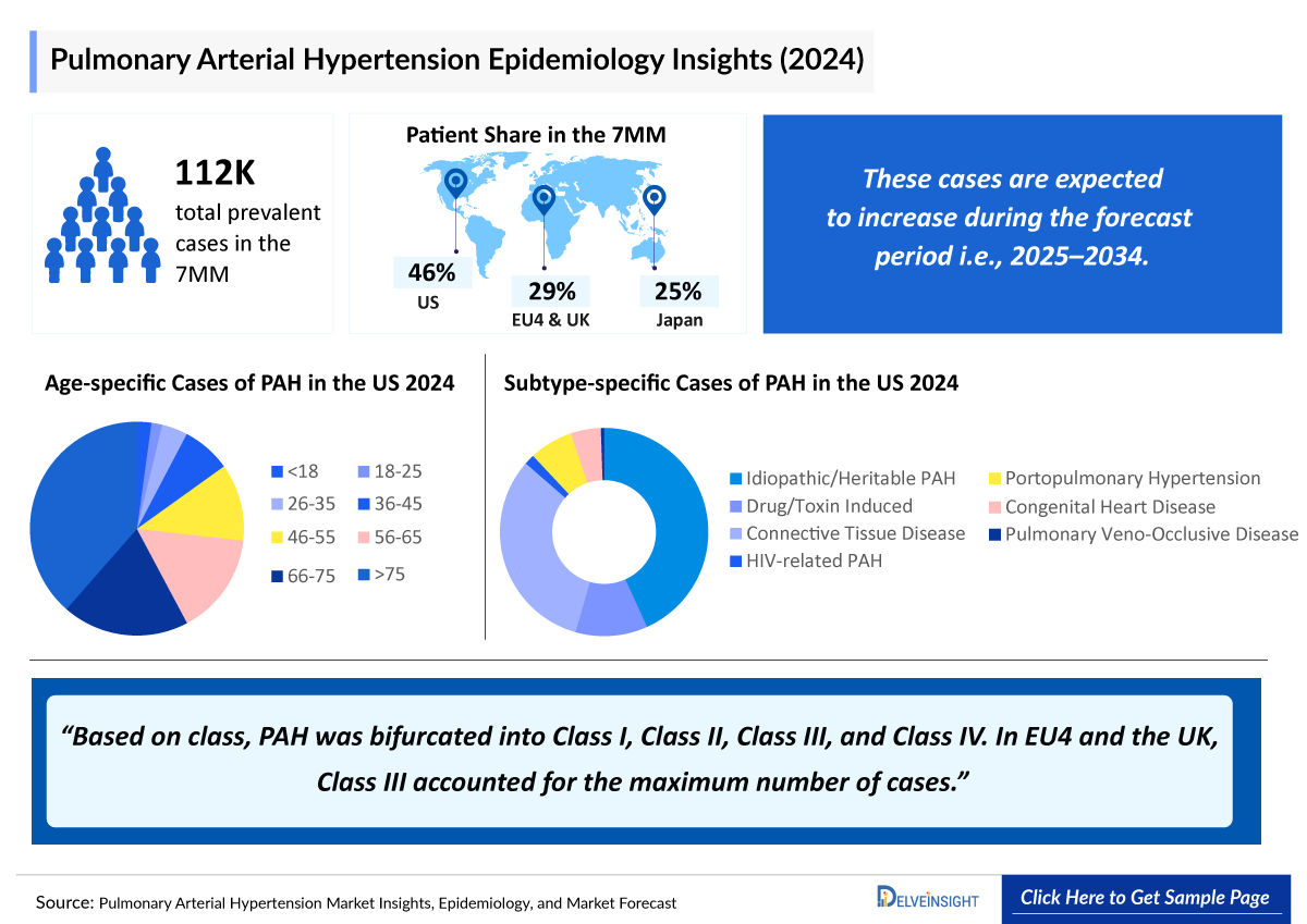 Pulmonary Arterial Hypertension Epidemiology Insight