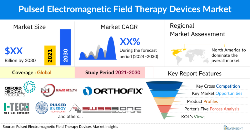 Electromagnetic Field Therapy Devices market